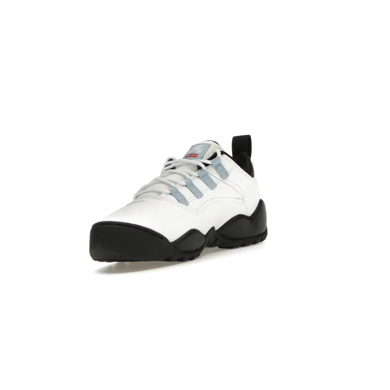 Sneakers Darwin Low SB coloris Blanc et bleu