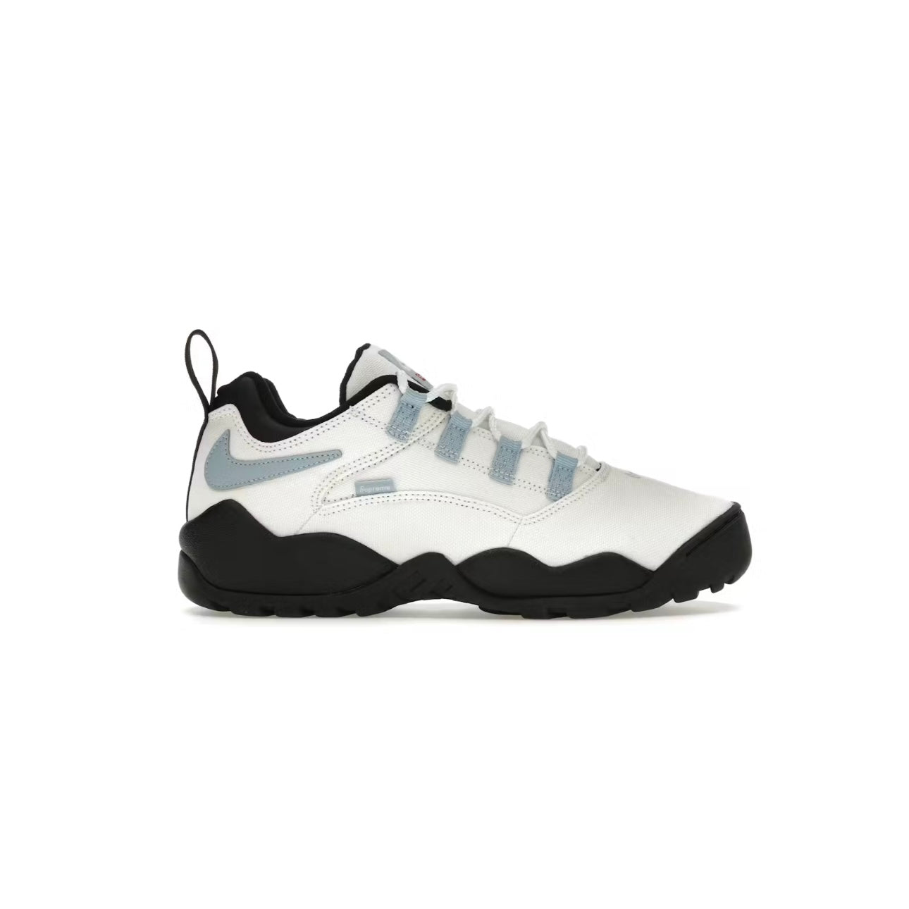 Sneakers Darwin Low SB coloris Blanc et bleu