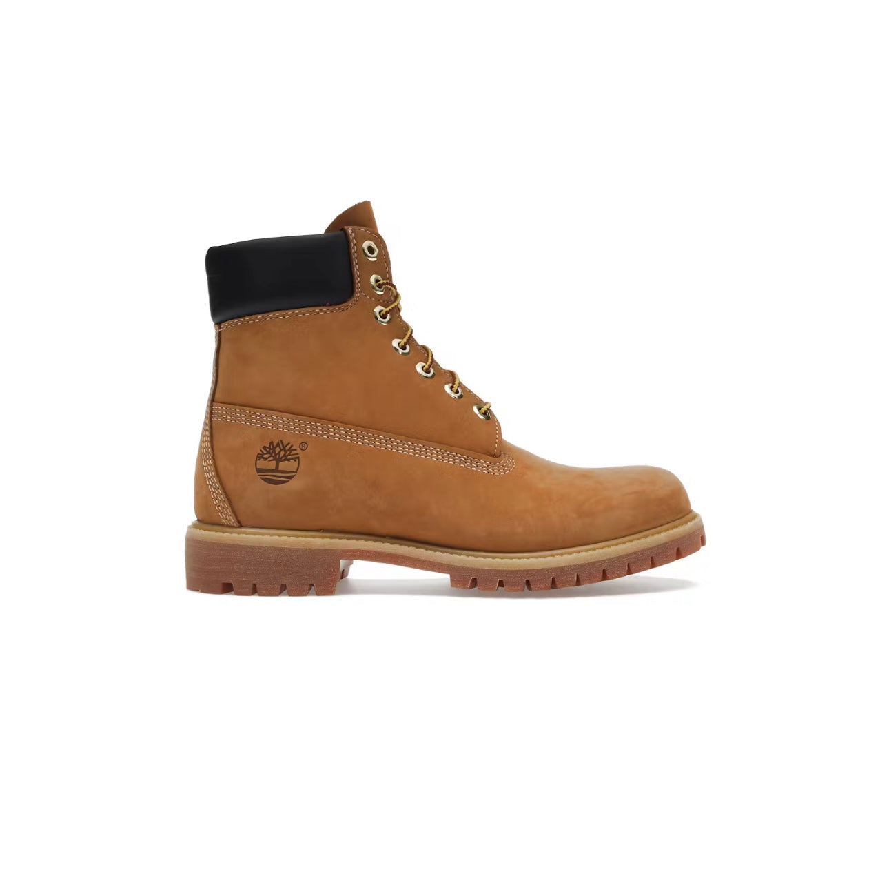 Bottine imperméable 6” Premium coloris Blé